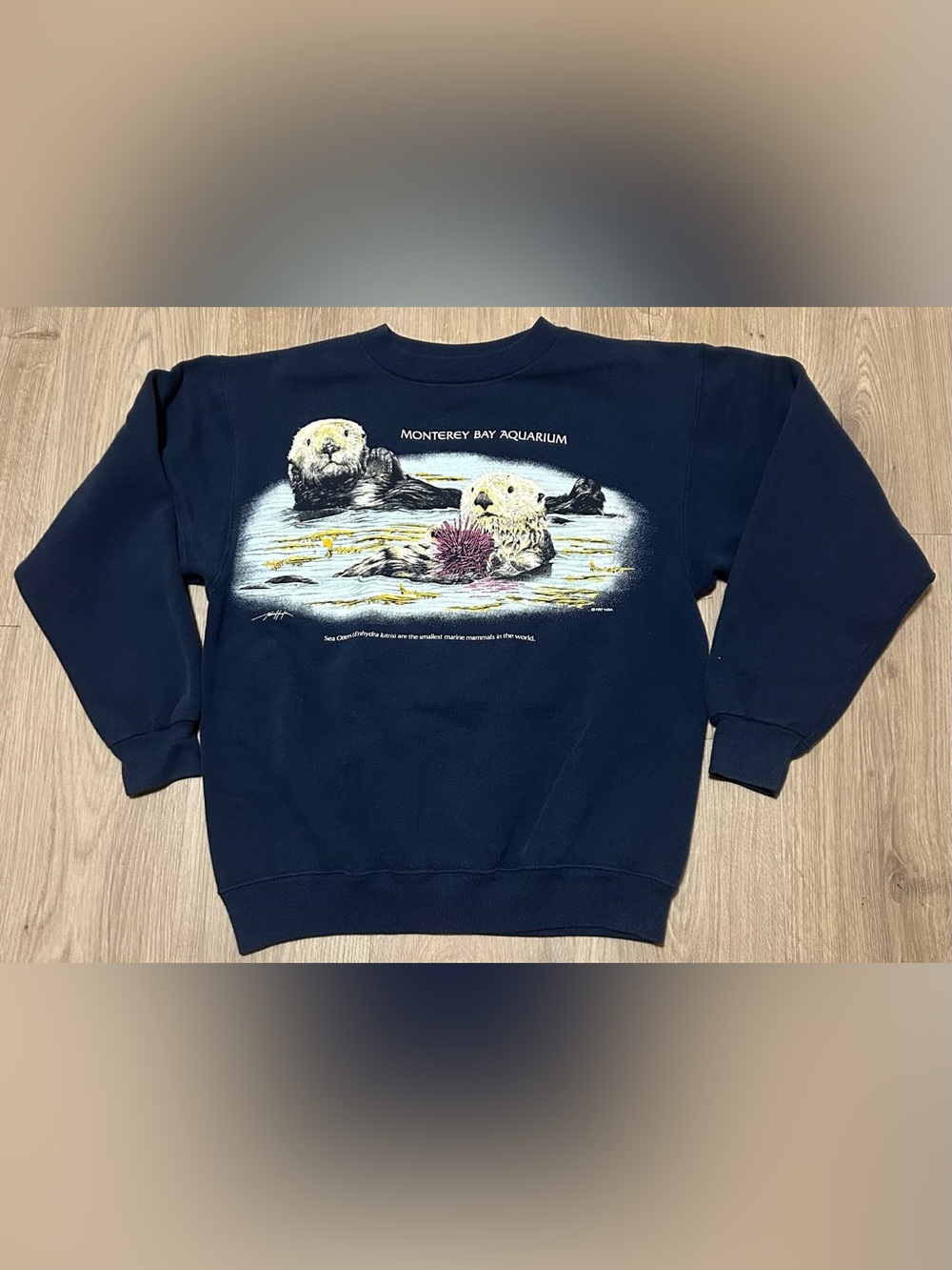 Vintage 80’s Hanes Navy Monterey Bay Aquarium Otter Graphic Crewneck - teens M
